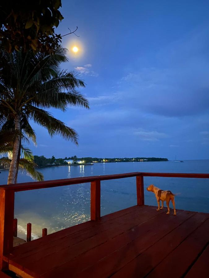 Las Palmeras Oceanview Hotel And Dive Center Литтл-Корн-Айленд Экстерьер фото