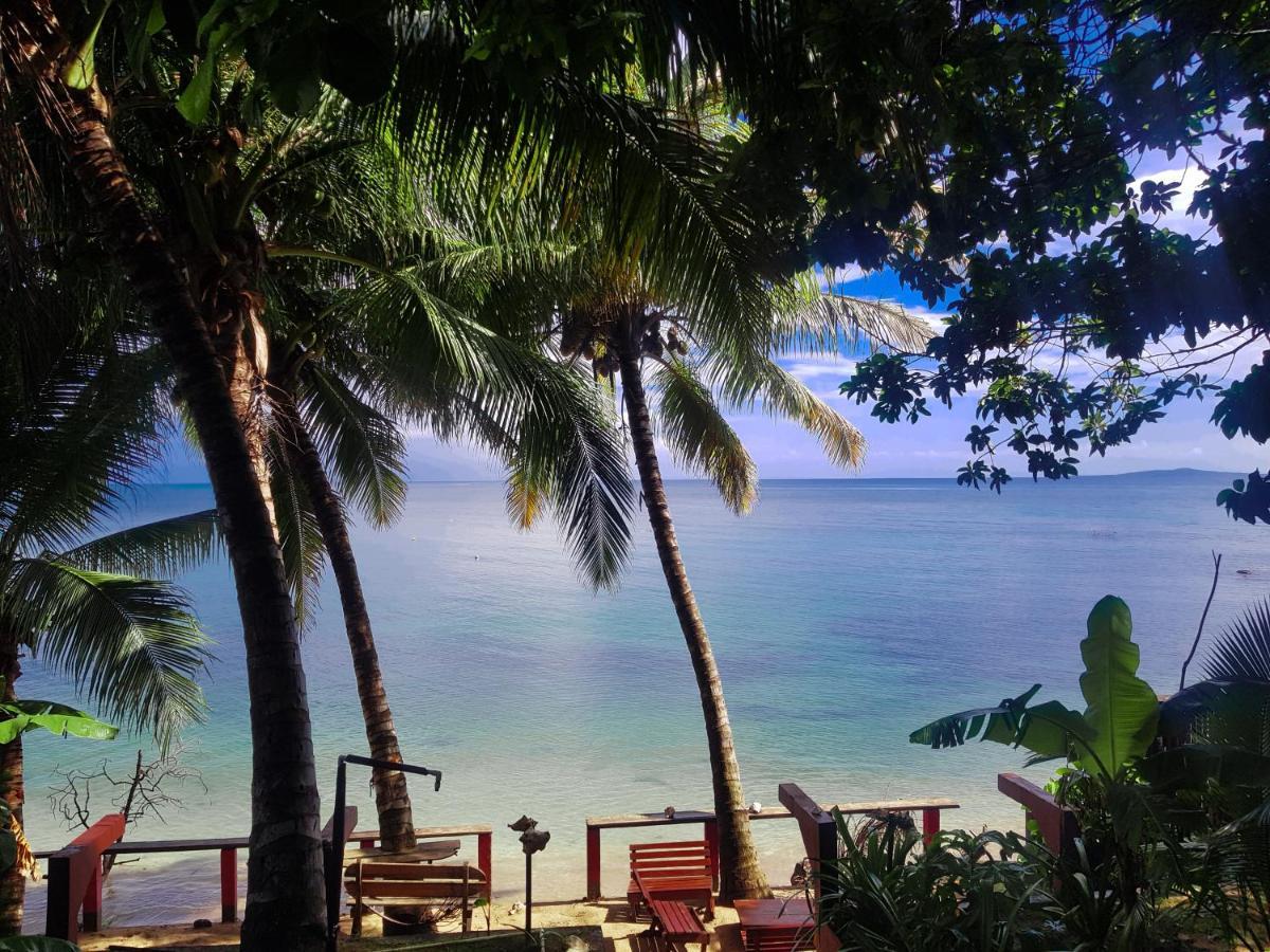 Las Palmeras Oceanview Hotel And Dive Center Литтл-Корн-Айленд Экстерьер фото