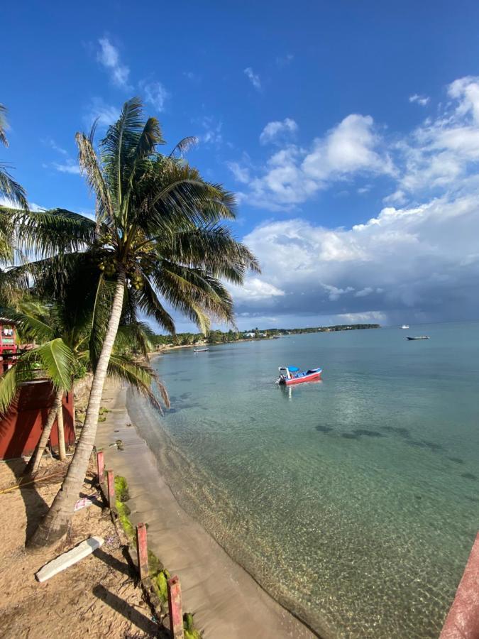 Las Palmeras Oceanview Hotel And Dive Center Литтл-Корн-Айленд Экстерьер фото